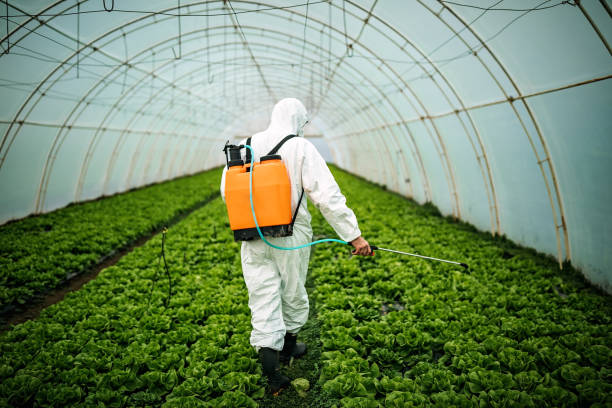 Best Best Pest Control Companies  in Lynwood, CA